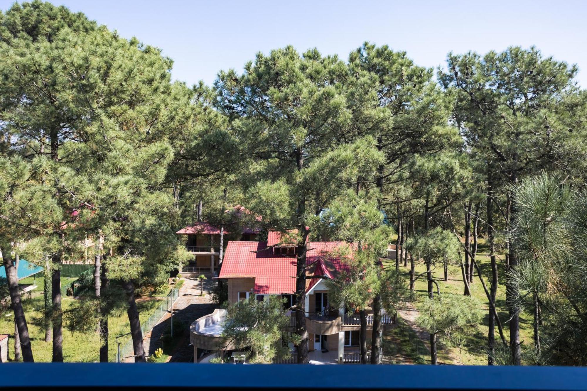 Hotel Bratislava Shekhvetili Ngoại thất bức ảnh