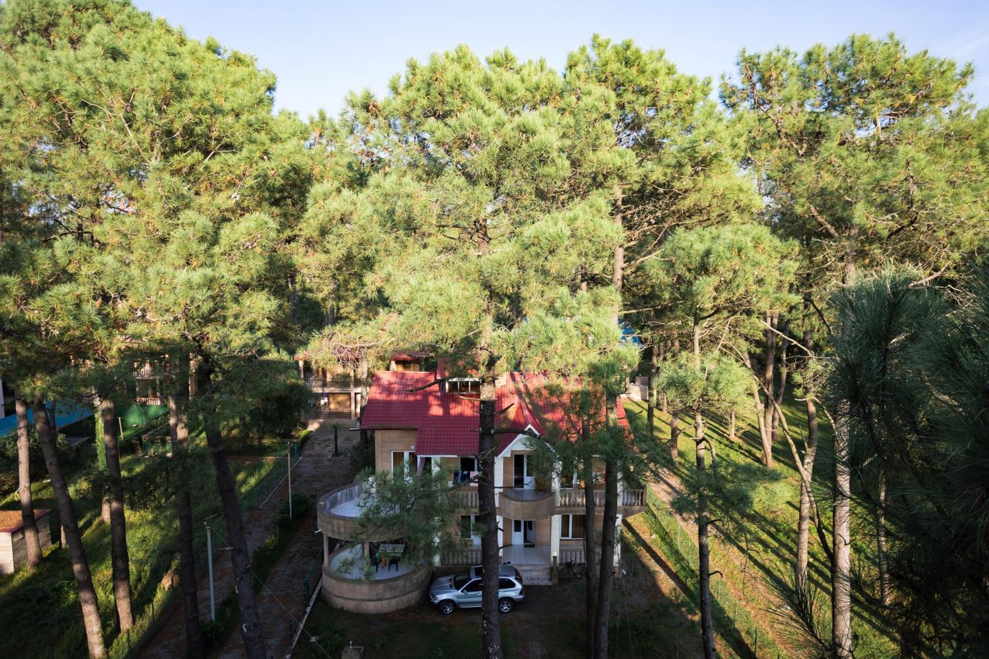 Hotel Bratislava Shekhvetili Ngoại thất bức ảnh